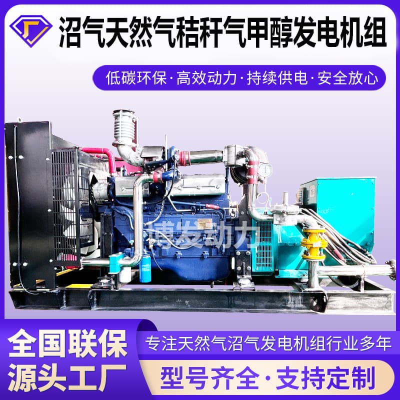100-300kw gas generator sets for biogas/natural gas/straw gas, methanol generator models