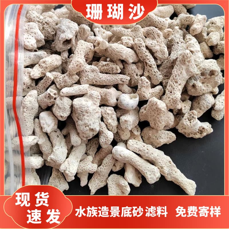 Factory direct supply of coral bone, coral stone aquascape bottom sand, coral sand for marine fish breeding in stock