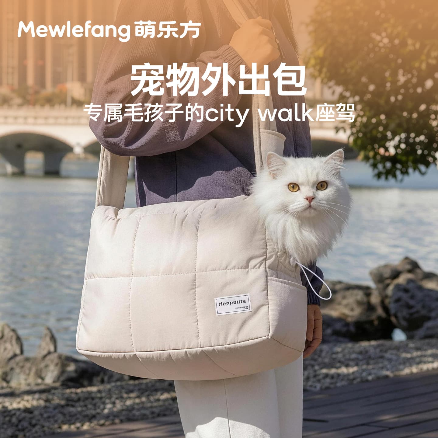 Cat Carrier Bag Portable Large Capacity Two Pets Travel Bag Airline Approved Dog Bag Cat Going Out Bag Cat Cage
