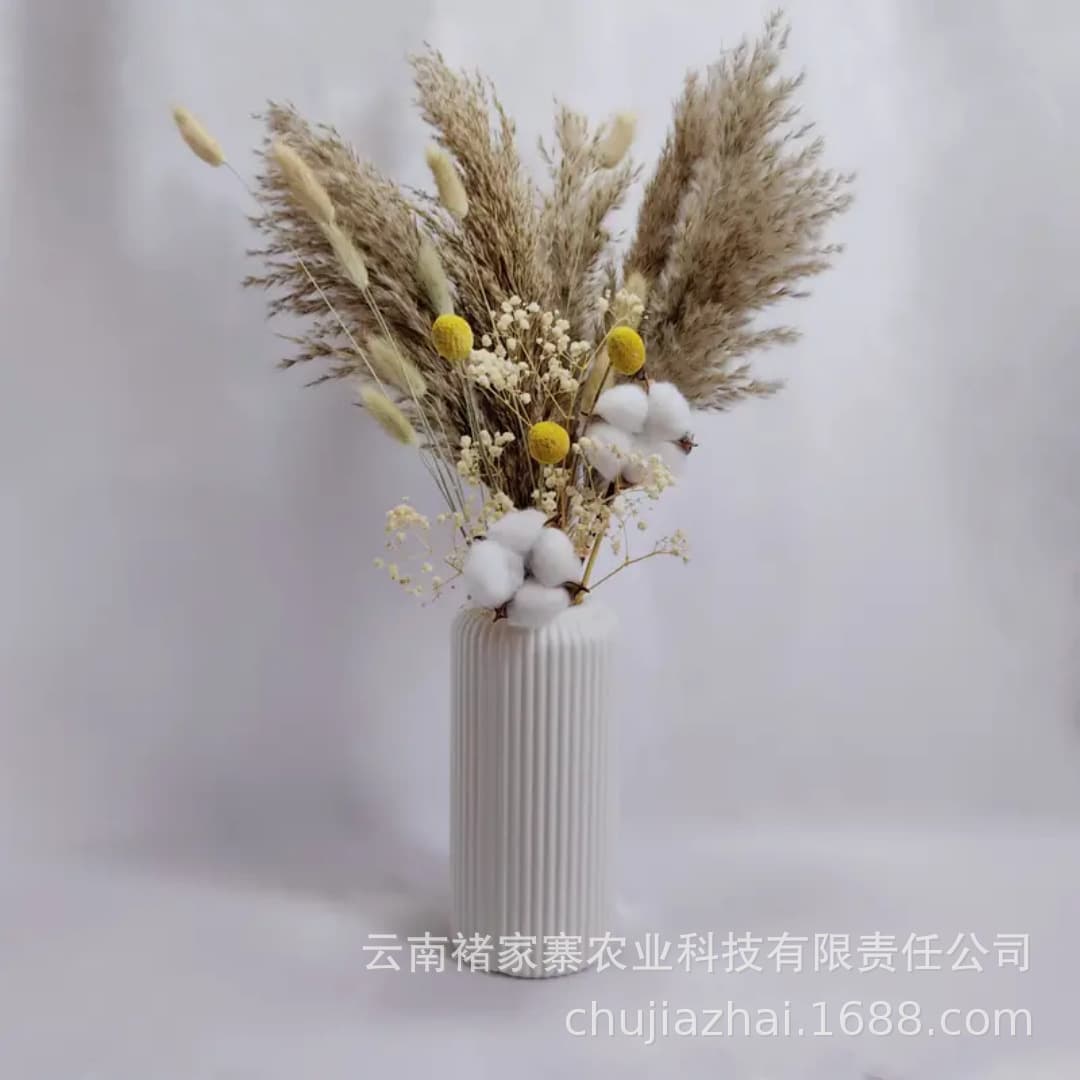 Hot-selling dried baby's breath flowers for Teacher's Day home decoration Yunnan