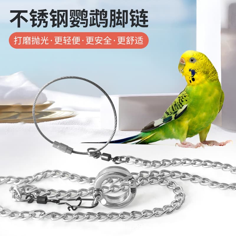 Stainless steel parrot release and anti-fly leash, stainless steel threaded bracelet, alloy anklet, bird supplies