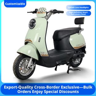 Factory Export Wholesale Golden Turtle Electric Motorcycle Scooter Dual Disc Brakes Men Women Commuter