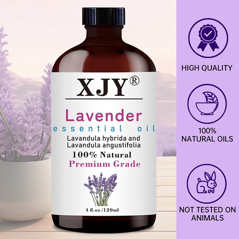 Cross-border Rosemary Aromatherapy Essential Oil Pure Natural Essential Oil Hair Care Fragrance In Stock Ready to Ship OEM ODM Small Batch Customization