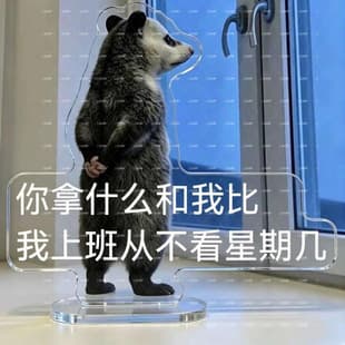 New Home Fashion Trendy Item Opossum Emoticon Acrylic Stand Creative Funny Shape Desk Decor Office