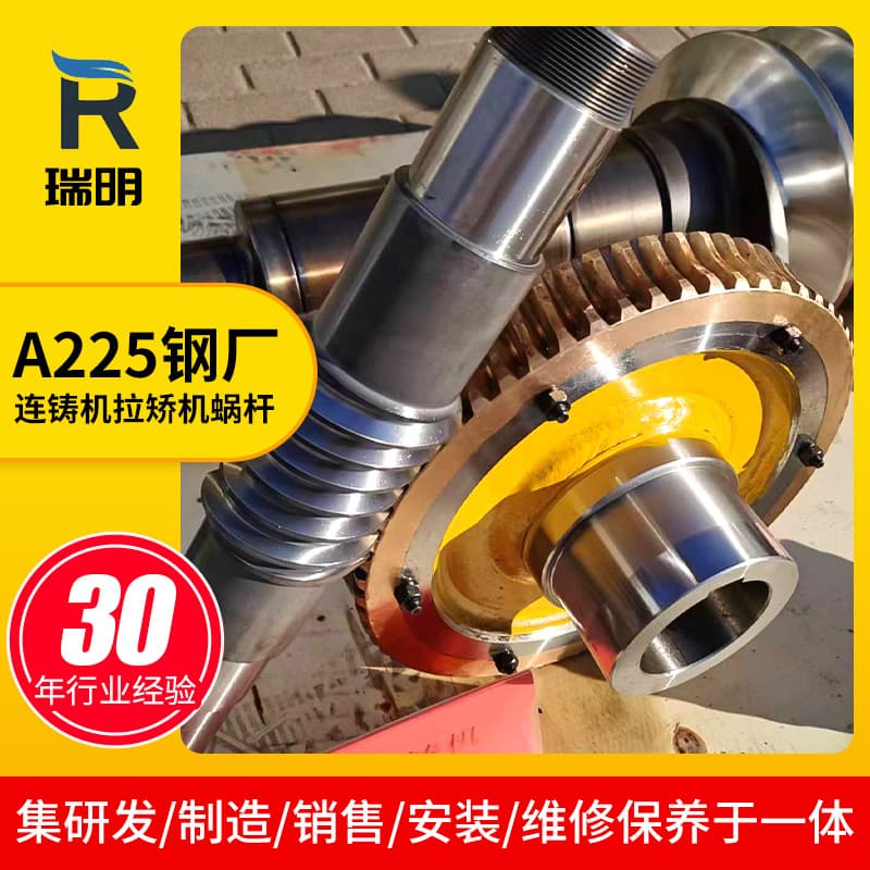 A225 Steel Plant Continuous Casting Machine Withdrawal Straightener Worm Shaft 001 Custom Worm and Worm Gear for Various Non-Standard Worm Gears