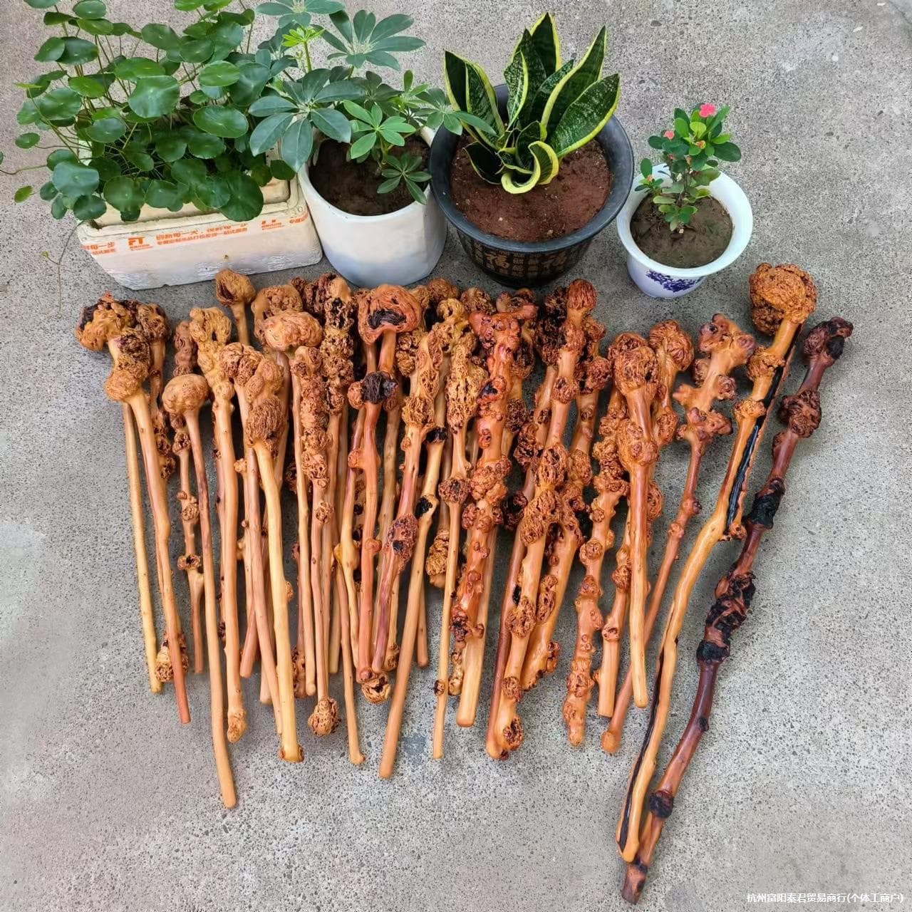 Southern Black Fruit Wood Tree Pomegranate Knot Log Stick Practical Back-Knocking Hand-Held Piece Root Carving Crafts Ornament Stick