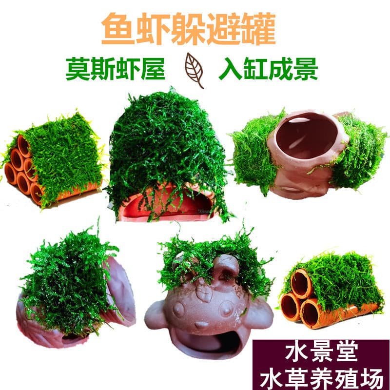 Fish Tank Landscape Moss Shrimp House Fish Shrimp Avoidance House Ceramic Tank Small Fish Ornamental Shrimp Reproduction House Aqua Plants Living Plants