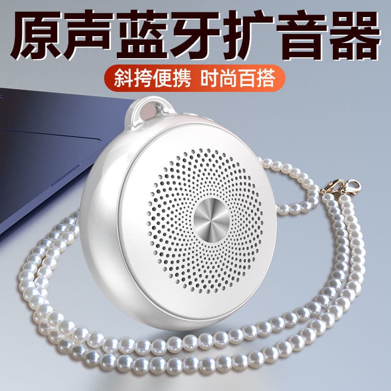 Mini Portable Amplifier for Teachers, Loudspeaker for Sales, Small Portable Voice Amplifier
