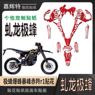For Surron Ultra Bee Light Bee X Storm Bee Tanli electric off-road motorcycle sticker decal graphic