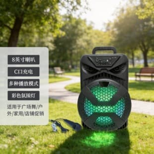 Portable USB Card Radio Bluetooth Speaker with Microphone Set for Outdoor Square Dancing