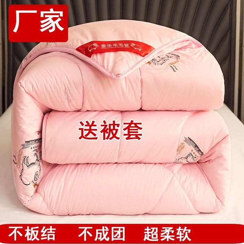 Deep Sleep 10 Jin Extra Warmth Student Filling Clear Dormitory 12 Jin Wool Quilt Single/Double 1.5m 2m Foreign Trade