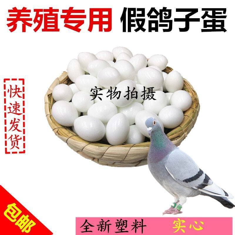 Fake Pigeon Eggs, Real-Looking Fake Eggs, Fake Pigeon Eggs, Supplies for Racing Pigeons, Water-Filled Plastic Fake Eggs for Racing Pigeons, Racing Pigeon Equipment