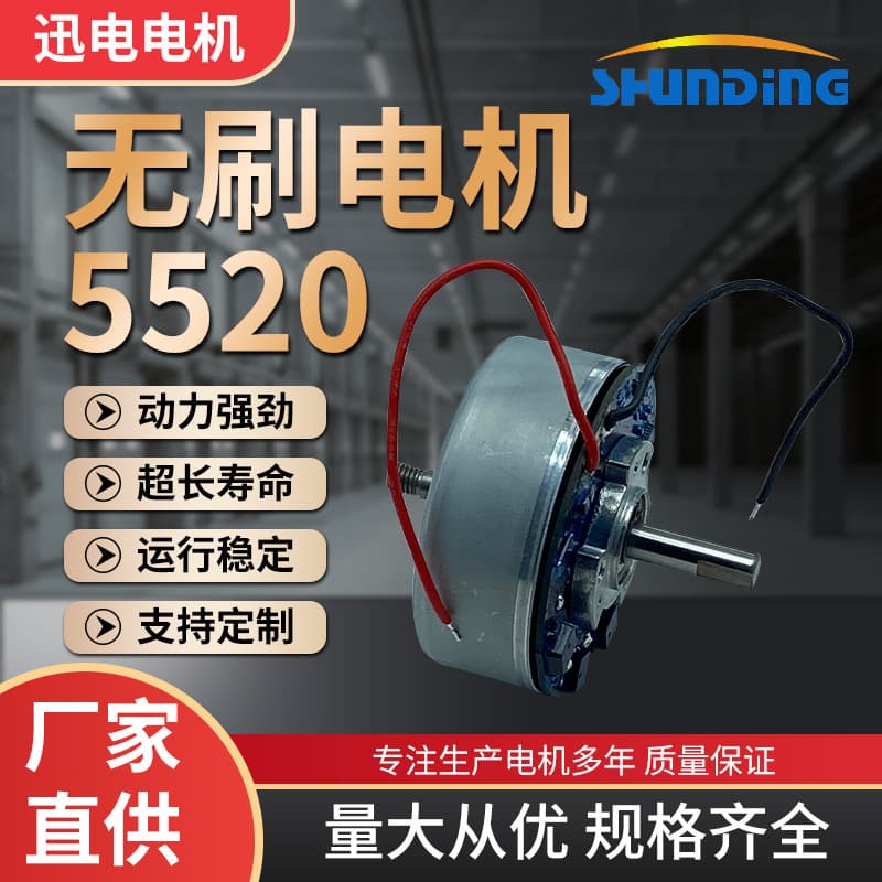 5520 Brushless DC Motor for Fascia Gun, 12V Outer Rotor Motor, High Power High Speed Air Pump Motor