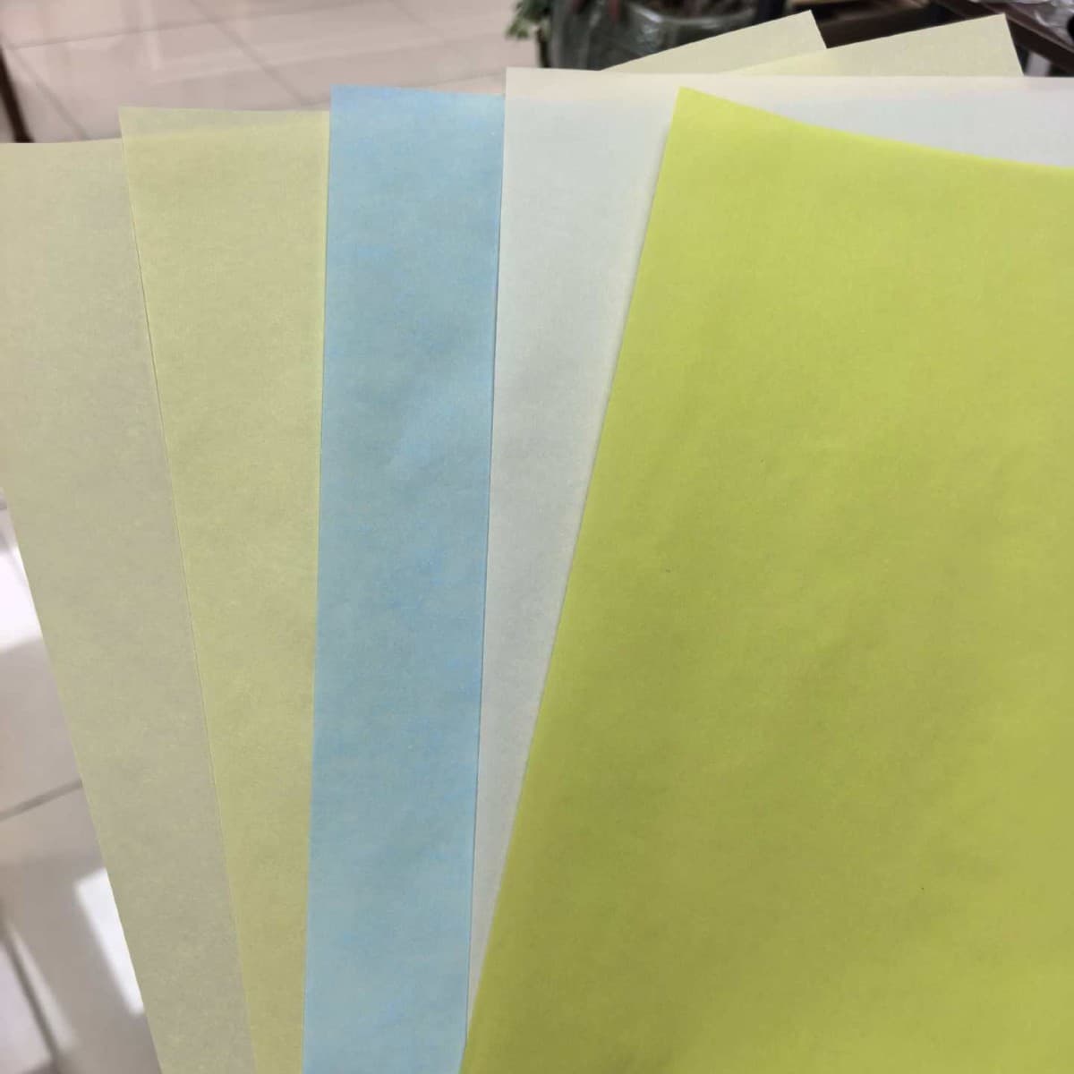 Vegetable parchment used for book endpapers, flyleaves, and also for creating albums, product catalogs, etc.