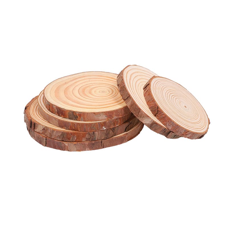 Natural Wood Slices DIY Round Wood Discs Pine Wood Slices Wholesale Halloween Wooden Crafts Decor for Painting