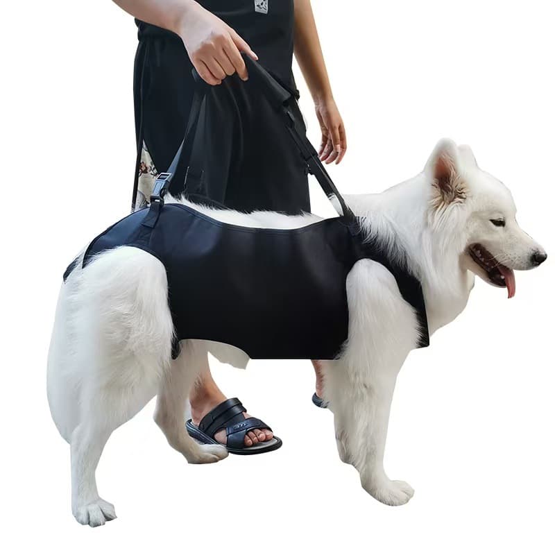 Pet Support Harness for Elderly Disabled Dogs Walking Assistance Aid for Weak Legged Senior Dogs Rehabilitation Care