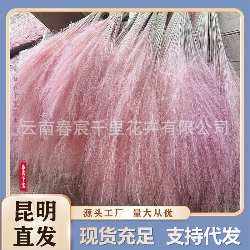 Popular Pink Muhly Grass 100 Stems Yunnan Preserved Dried Flowers Wholesale Firework Bouquet Wedding Scene Decoration