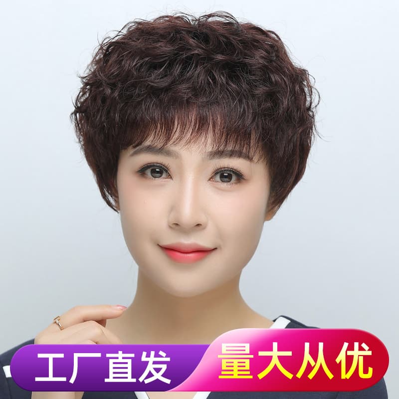 Wig Women's Short Hair Set Real Human Hair Full Lace Wig for Middle-aged and Elderly Women Mother Natural Breathable Short Curly Hair Factory Straight Hair