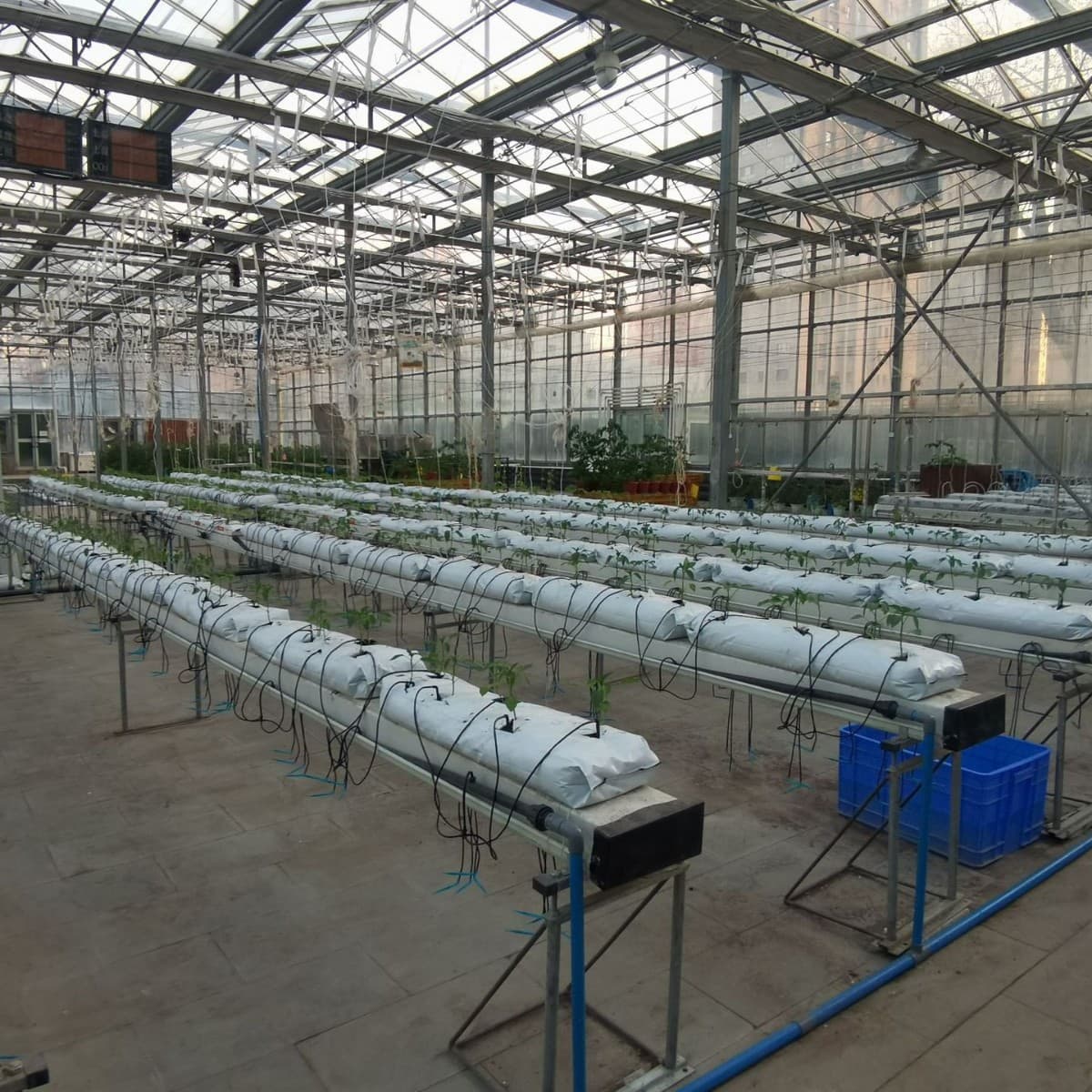 Factory Direct Sales, Long Planting Bags, Anti-Brittleness Soilless Cultivation for Strawberries, Cucumbers, Fruits, and Vegetables, Substrate Strips in Stock