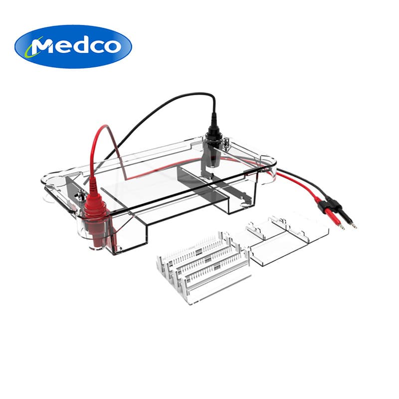 Cross-Border Exclusive Biobase Horizontal Electrophoresis Tank BK-HET02, High-Performance Laboratory-Specific Horizontal Electrophoresis Tank