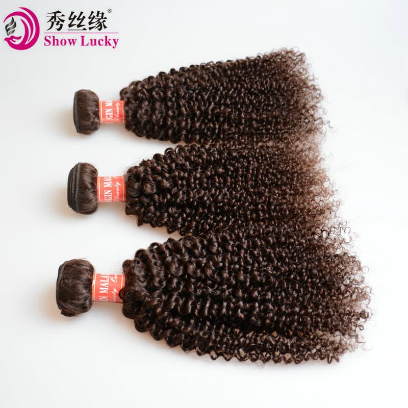 European and American Wig Wholesale Amazon Wig Brown Kinky Curly Human Hair Products
