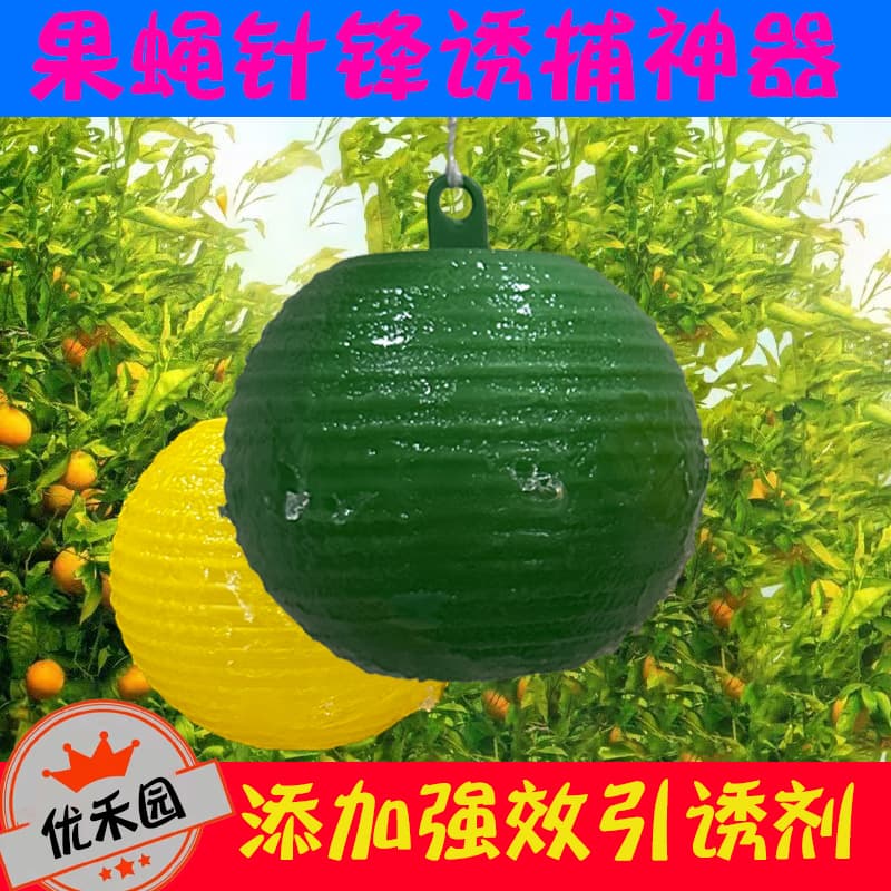 Fruit fly attractant ball, citrus fruit fly, small fruit fly, fruit fly, armyworm ball, insect ball, needle bee attractant, vegetable garden attractant