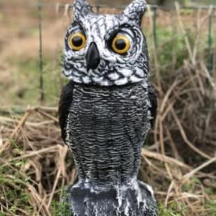 Lifelike Garden Wildlife Owl with Sharp Eyes and Shaking Head Outdoor Hunting Field Bird Repellent Tool
