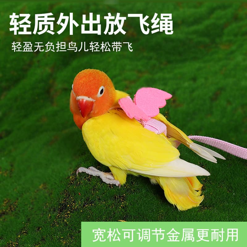 Bird Parrot Flight Harness for Cockatiel, Budgie, Lovebird, Flight Leash, Outdoor Walking Strap, Bird Supplies Toy