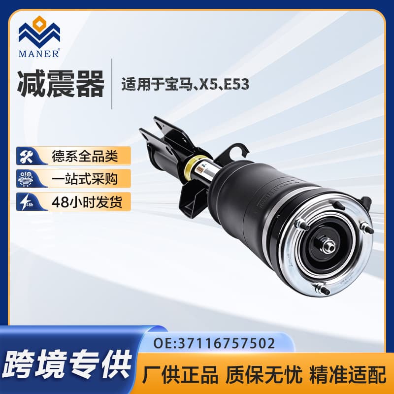 Front Right Air Suspension Strut Assembly for BMW E53 X5