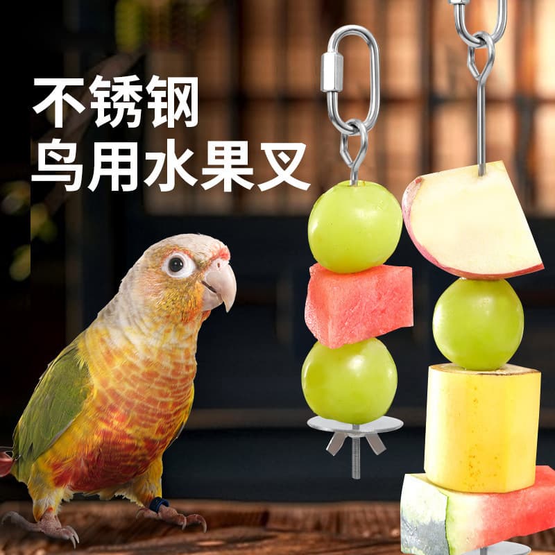 Factory Direct Stainless Steel Large Bird Fruit Fork Vegetable Hook Fruit Clip Feeder Toy Birdcage Accessories