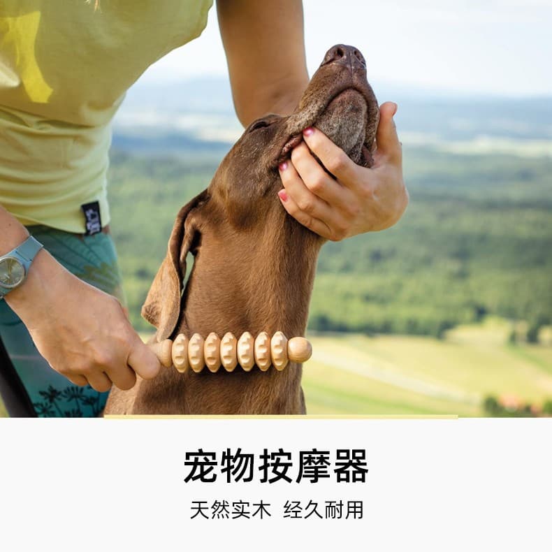 Factory Direct Wooden Pet Full Body Massager Multi-Function Soothing Massage Tool Dog Full Body Massage Comb