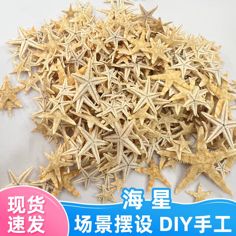 In Stock Wholesale Mini Starfish DIY Handmade Decoration Materials Jewelry Accessories Resin Casting Aquarium Landscape Starfish