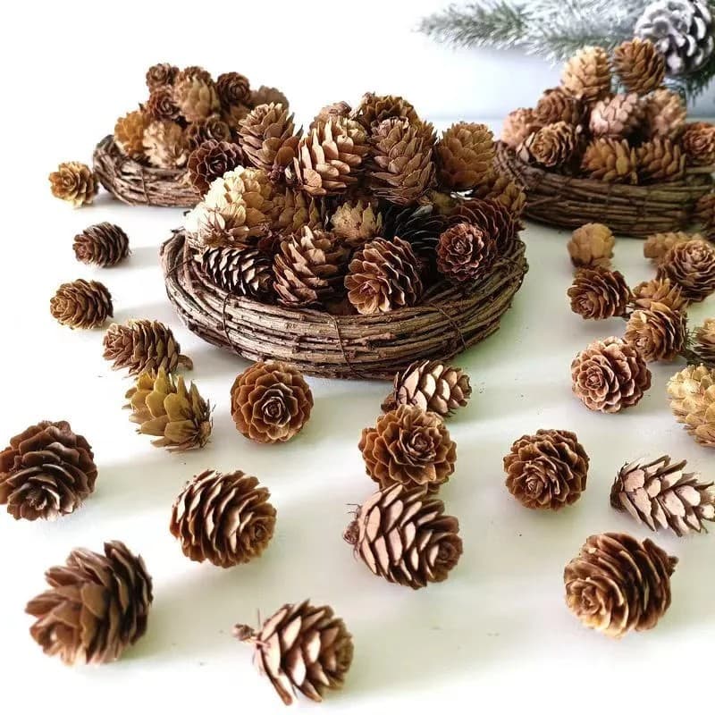 Pine Cone Larch Pinecone Single Large Pine Flower Craft Materials Christmas Decoration Photo Props