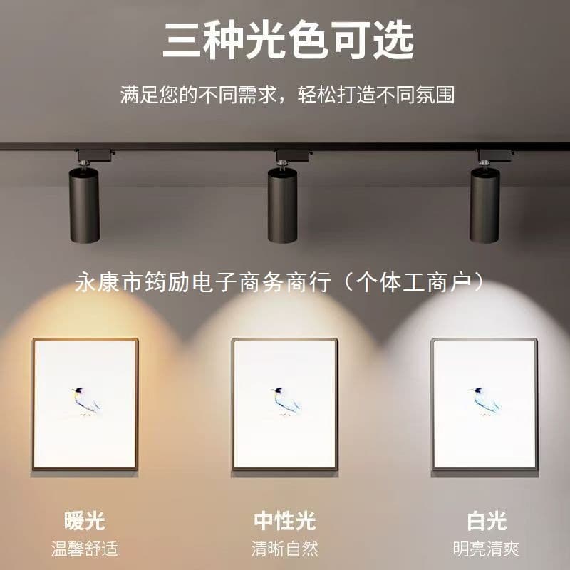 Clothing Store Spot Light LED Track Shop Commercial Ultra-bright Store High Brightness Surface-mounted Energy-saving Spotlight COB Rail Light