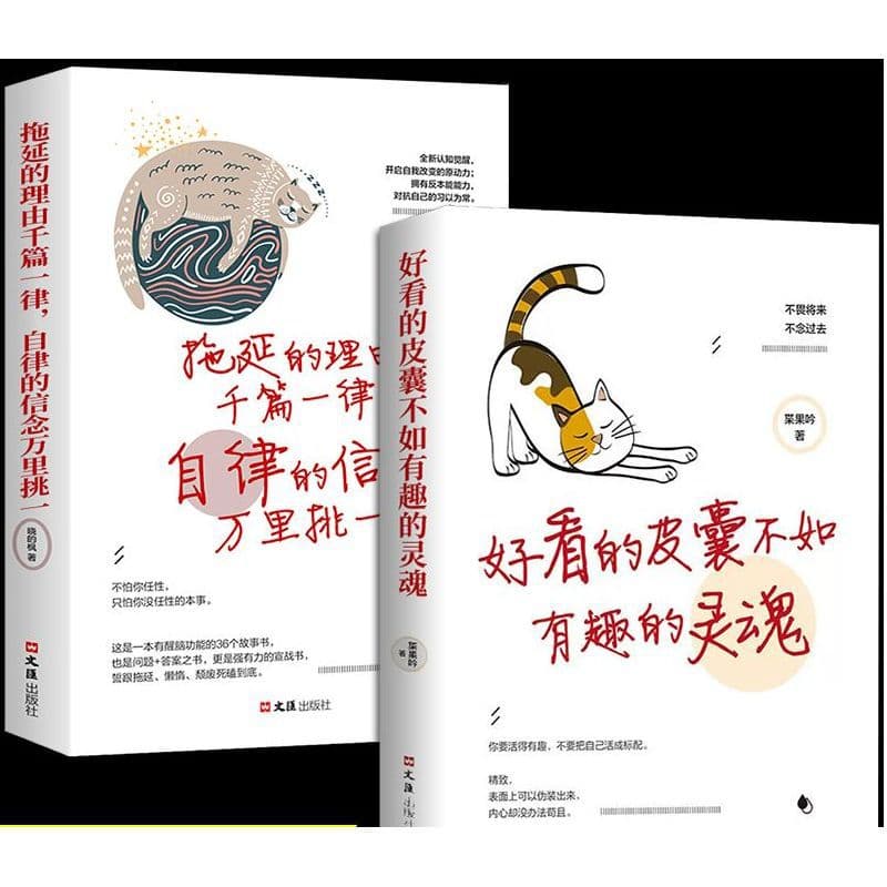 A good-looking skin is not as good as an interesting soul that drags self-discipline and belief. One of the best inspirational and positive energy healing books in the world.