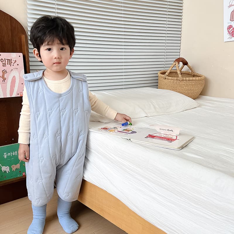 2024 Autumn/Winter Baby Cotton-Padded Sleep Bag Wool & Silk Vest Anti-Kick Quilt Boys/Girls Thickened Warm Sleep Gown Drop Shipping