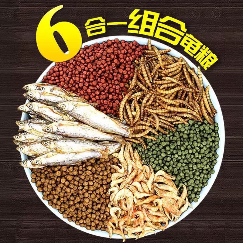 Turtle food, turtle food, Brazilian tortoise, water turtle, small turtle size grain grain, dried fish, shrimp, dried meat, edible for young turtles