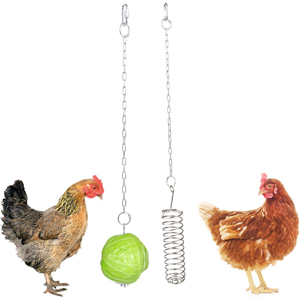 Chinchilla Parrot Supplies Stainless Steel Fruit Fork Corn Toy Fork Bird Cage Accessories Chicken Fruit Fork Vegetables