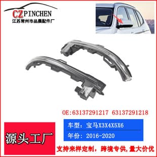 Side Mirror Turn Signal Light for BMW X3 X4 X5 X6 Rearview Mirror Signal Lamp Car Light Accessories