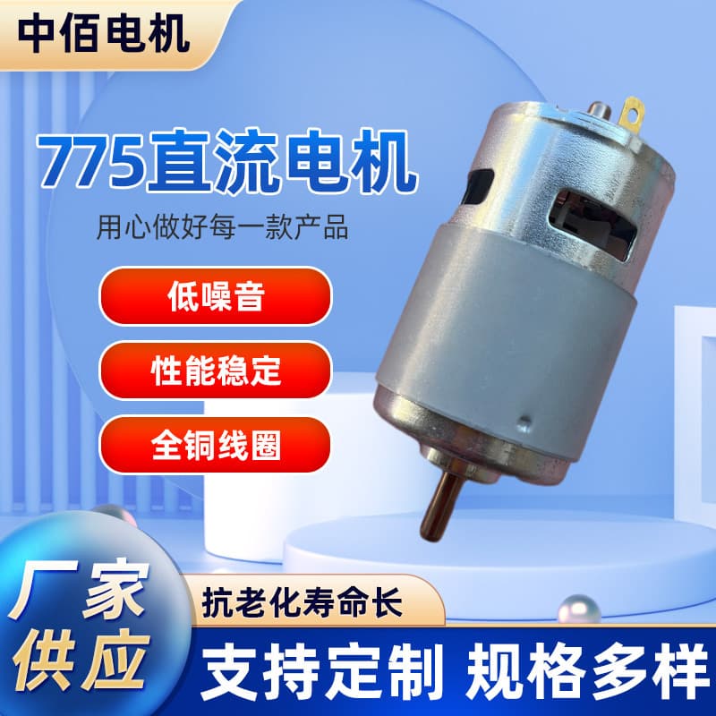 Micro Motor 12V 24V for Garden Tools High Pressure Pump Air Pump Grease Gun Equipment Fan DC Motor Brushed Motor RoHS Certified