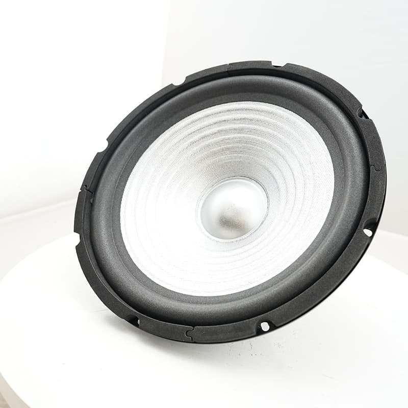 TYR-1004-0097 10-inch 90 Magnet 25-Core Woofer 40W Outdoor Speaker Driver