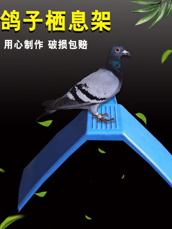 Plastic Perch Pigeon Stand Perch Station Flight Cage Bird Perch Racing Pigeon Supplies