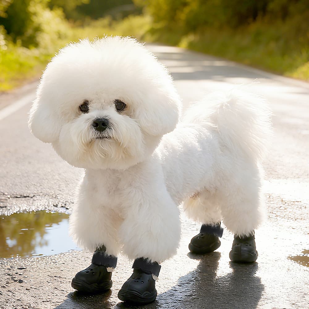 Amazon New Style Dog Sandals Dog Crocs EVA Small Dog Breathable Shoes Cross-Border Hot Selling Dog Shoes Factory