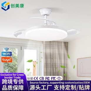 Invisible Ceiling Fan Light, for Living Room Bedroom Dining Room, Full Spectrum Lighting, Smart Voice Control