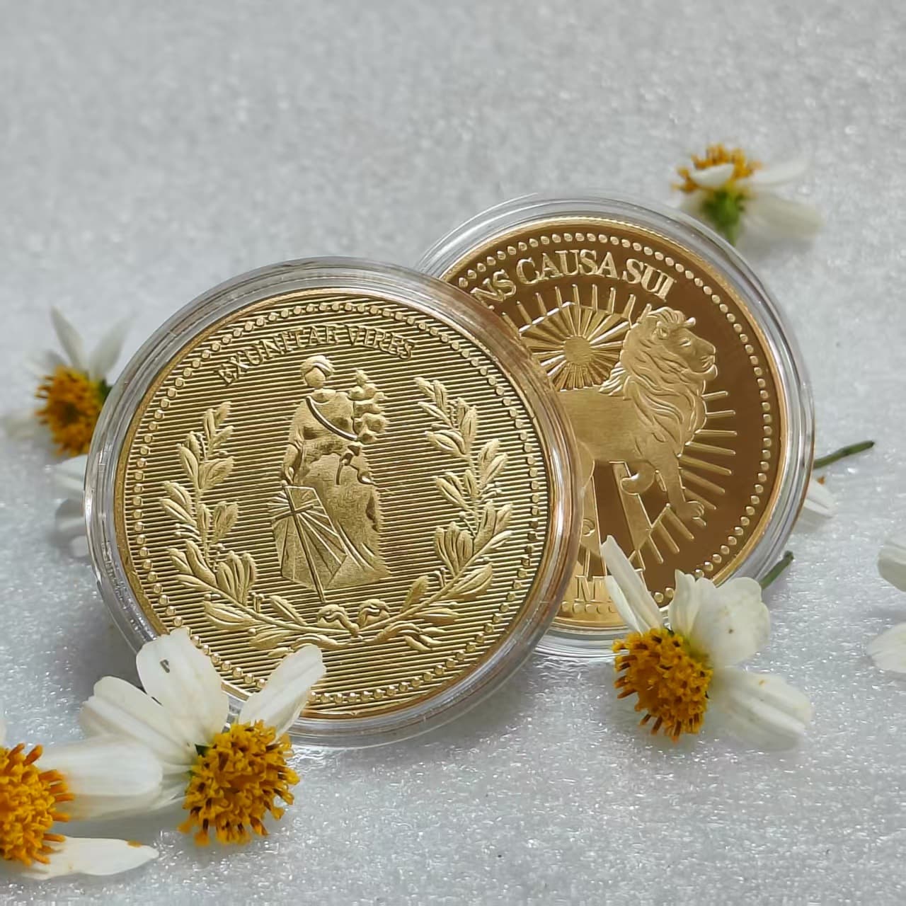 Lion Decision Coin Statue of Liberty Foreign Coin Metal Badge Gold Silver Commemorative Coin Trade Gift Wholesale