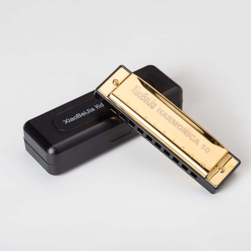 Factory Wholesale Titanium-Plated Copper Core 10-Hole Blues C-Tune Toy Harmonica Children's Musical Instrument Titanium Black Silver
