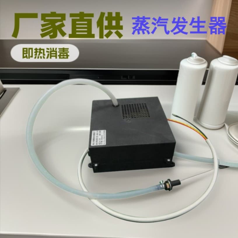 Factory Supply Steam Generator Steam Disinfection Sterilization Instant Heating Electric Steam Generator