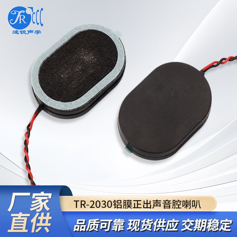 2030 Oval/Bass Speaker Ai Smart 3020 Sound Cavity/Speaker Adult Products Mid-Bass