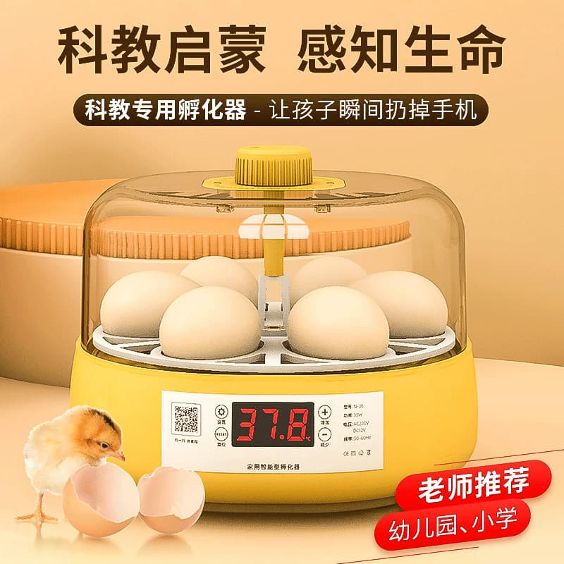 Incubator for Quail and Chicken Eggs, Small Household Smart Incubator, Water Bed Parrot Fully Automatic Incubation Box