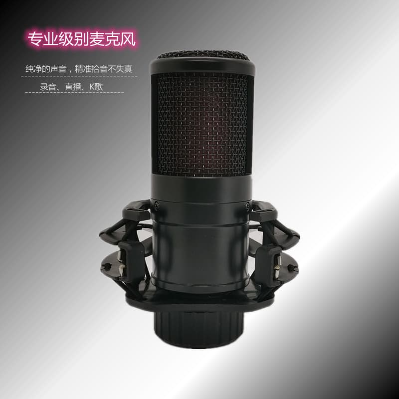 260 Condenser Microphone for TikTok Live Streaming, Professional Recording Mic for Podcasters and Voice-Over Artists